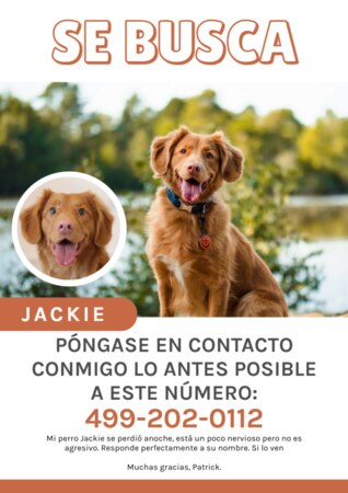 Crear cartel para tu mascota