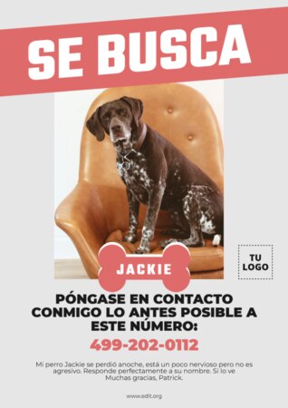 Crear cartel para tu mascota