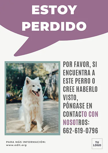 Crear cartel de Se Busca gratis
