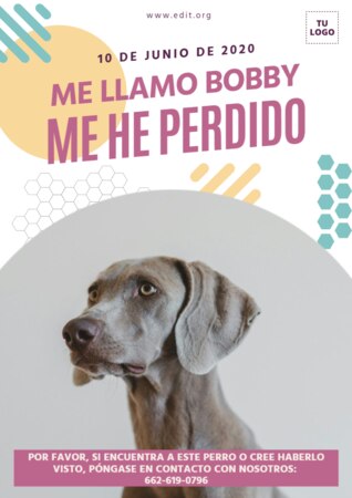 Crear cartel para tu mascota