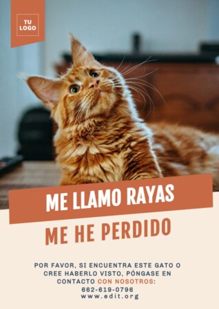 Crear cartel para tu mascota