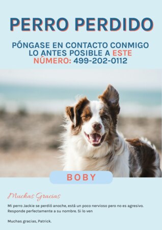 Crear cartel para tu mascota