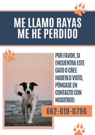 Crear cartel para tu mascota