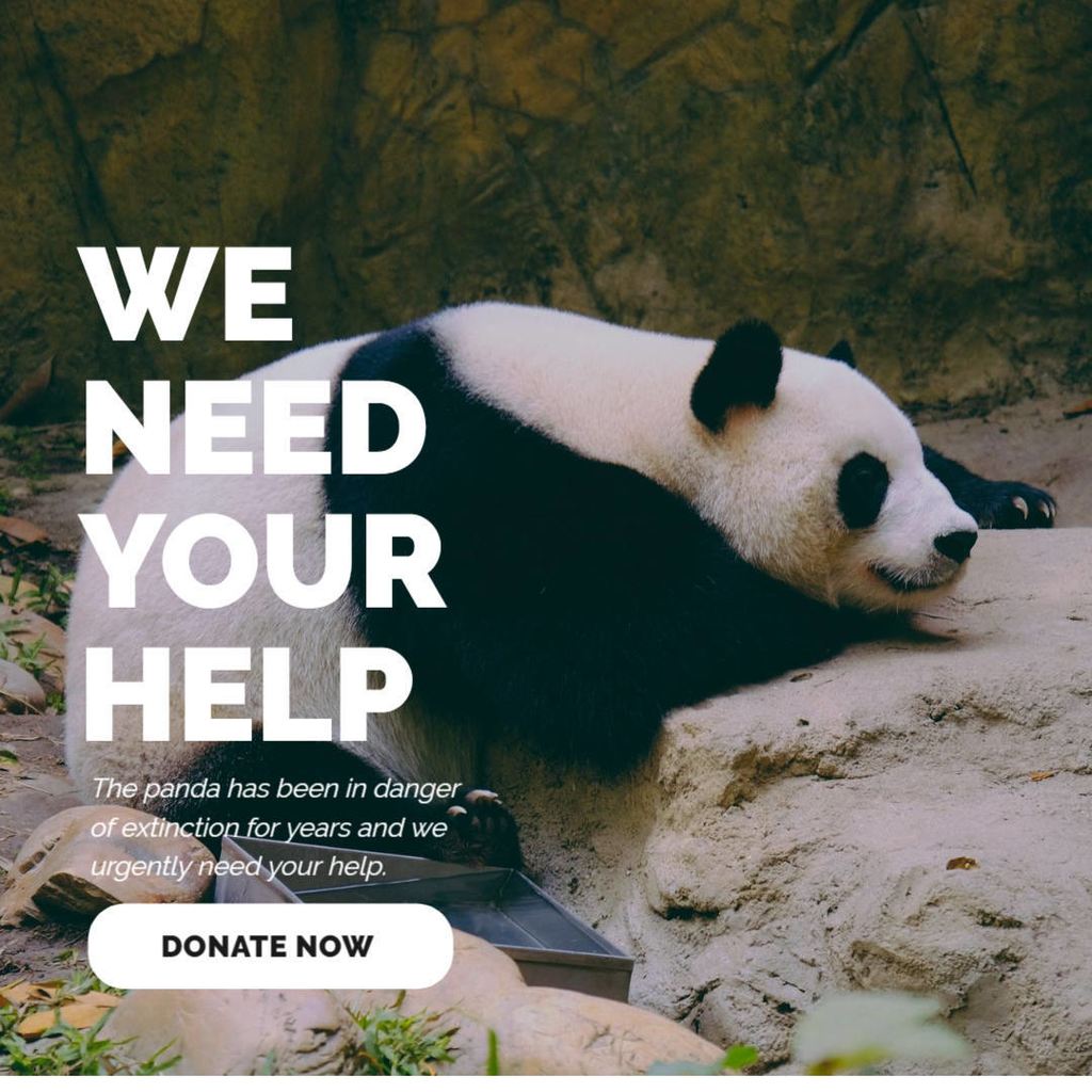 Free banners design for NGOs