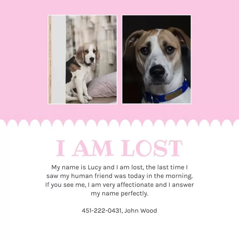 lost dog poster pink 