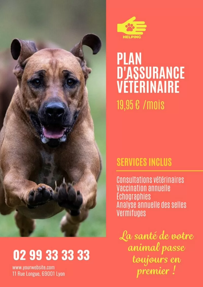 affiche pour plan d'assurance santé vétérinaire en rouge et personnalisable
