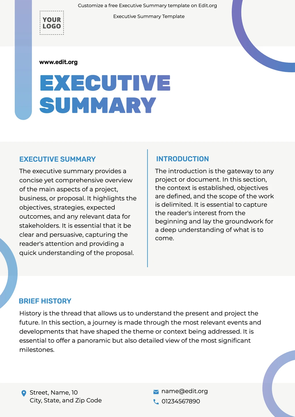 Editable Executive Briefing Document template