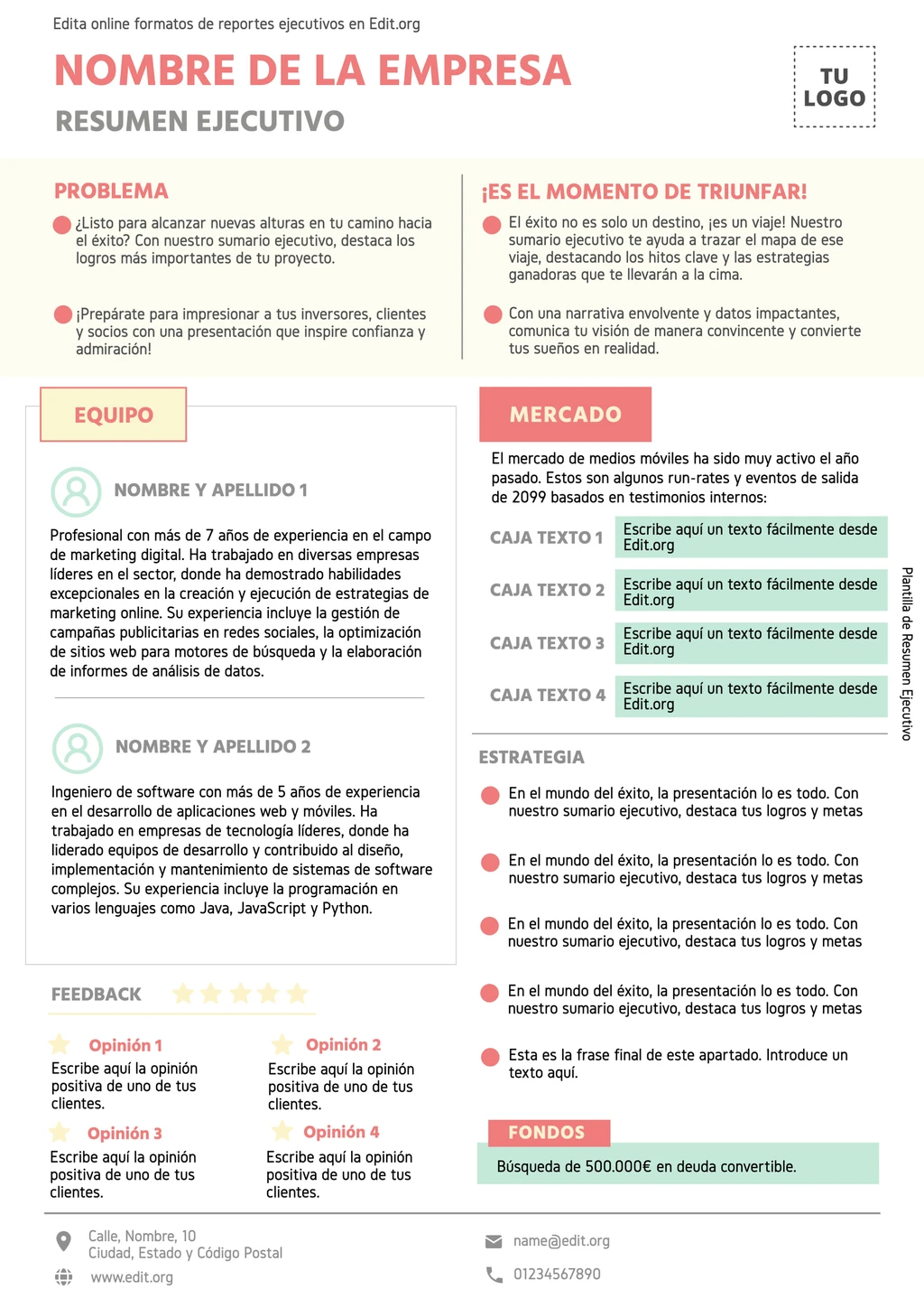 Plantilla resumen ejecutivo para personalizar online