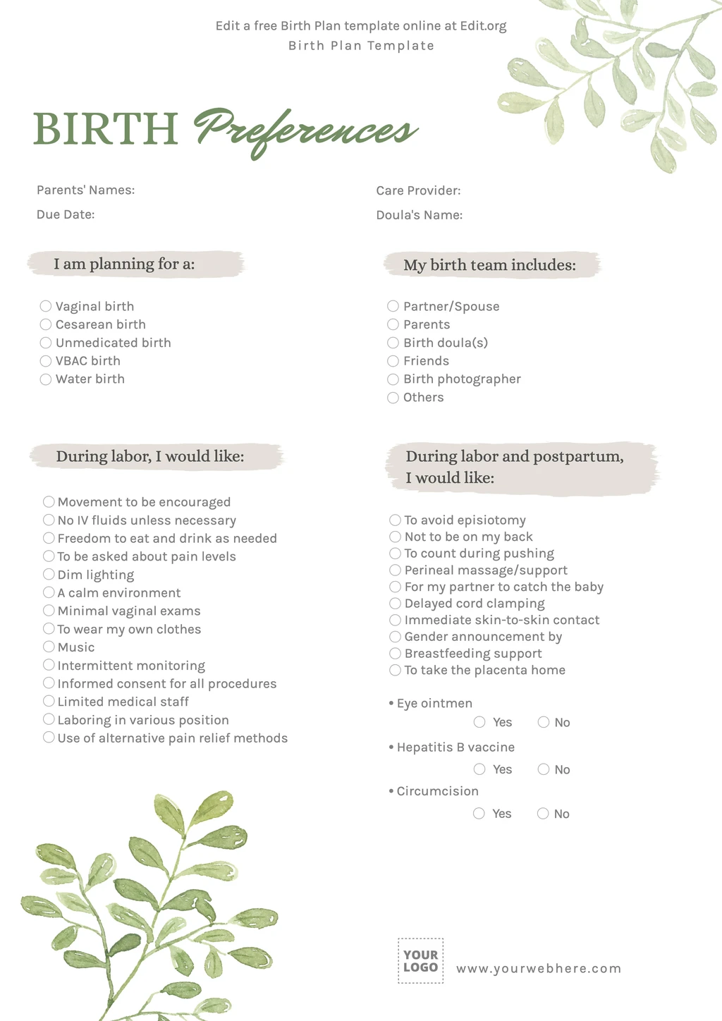 Free Birth Plan Templates Free Birth Plan Templates
