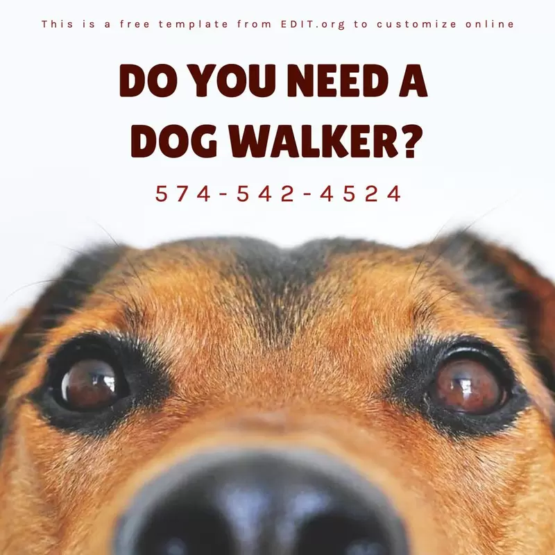 Dog walker template to customize online and for free