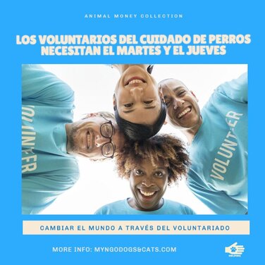 Crea diseños para tu ONG gratis