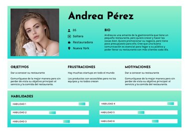 Editar una User Persona