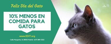 Editar una plantilla del Dia del Gato