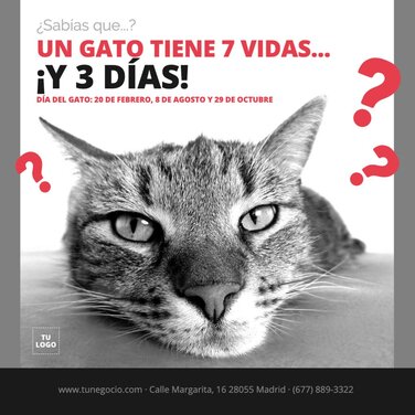 Editar una plantilla del Dia del Gato