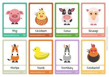 Editable Flashcard Templates for School