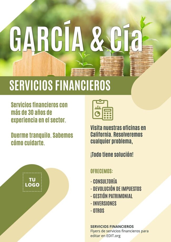 Flyers De Servicios Financieros Editables 0307