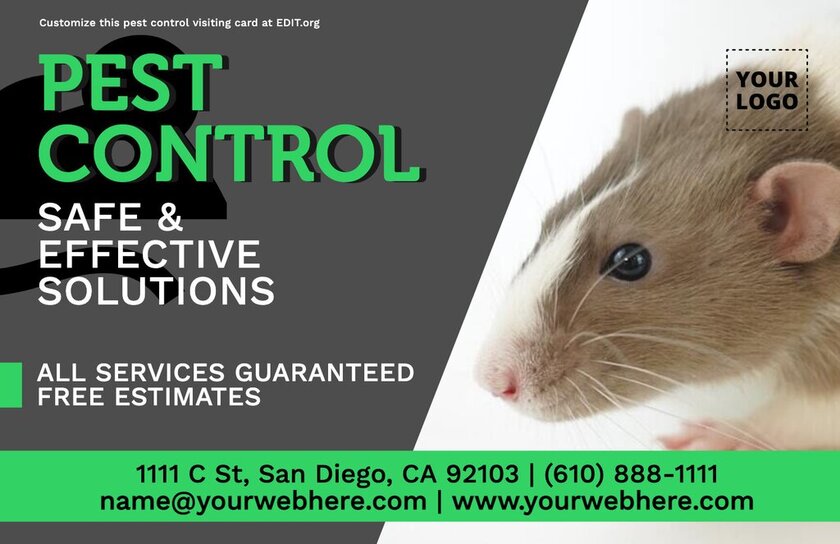 Editable pest control services visiting card