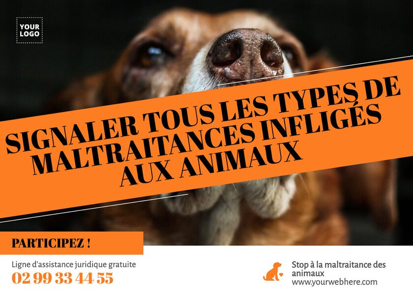 Modèle d'affiche éditable orange avec vraie image sur la maltraitance des animaux 