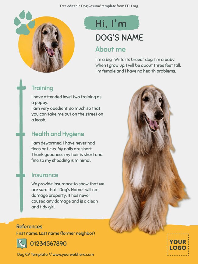 Free Editable Pet Resume Templates