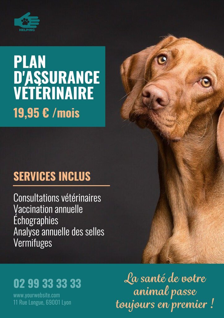 affiche pour plan d'assurance santé vétérinaire éditable
