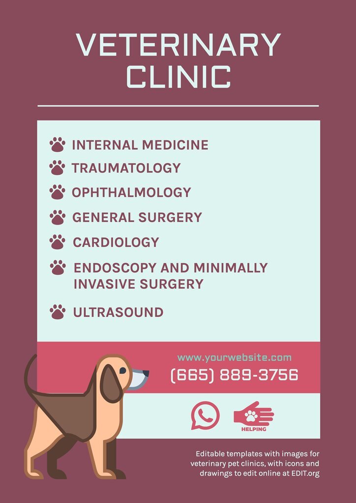 Veterinary poster design template to edit online