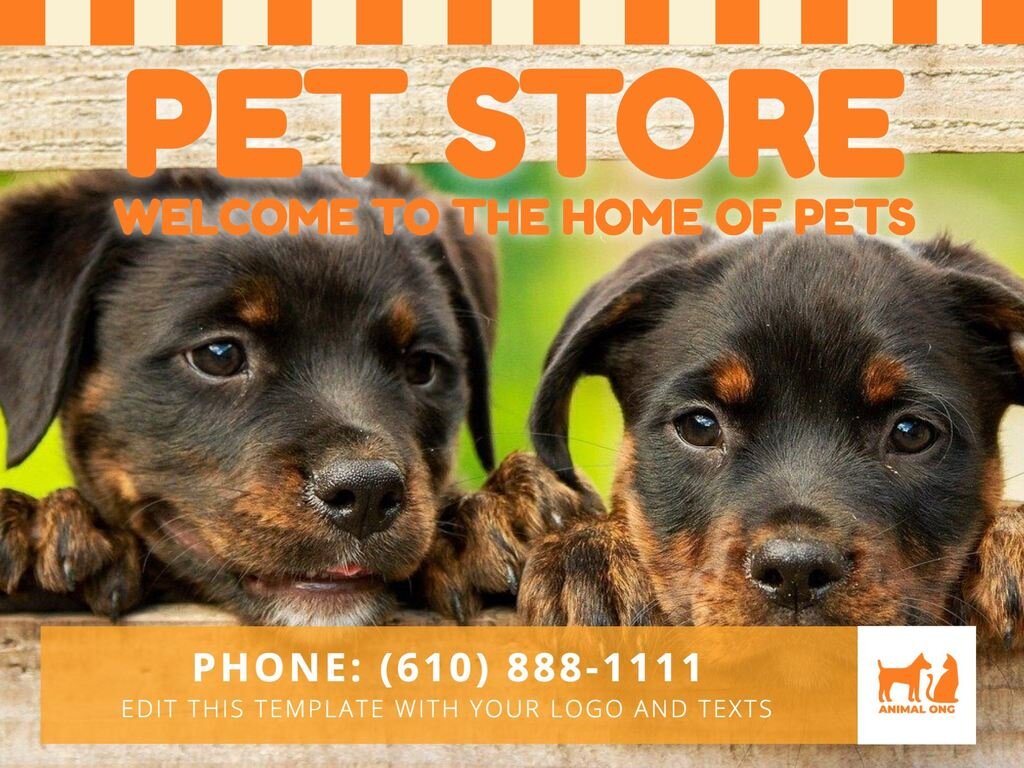 Editable posters for a pet store