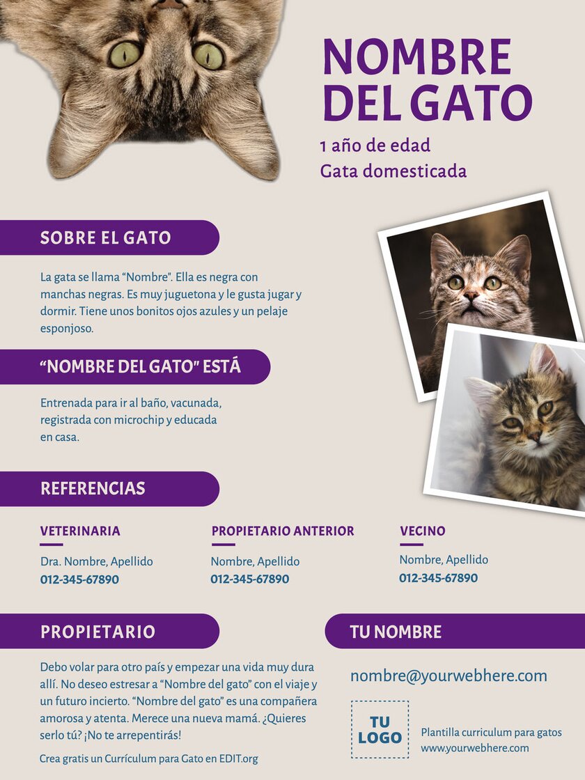 Plantillas para currículum de gato sin hogar que busca duseño