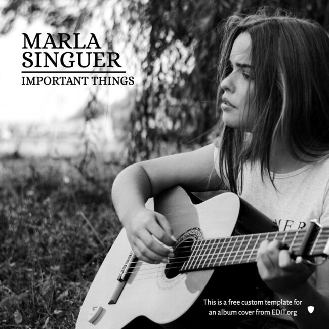 Templates to Create Album Covers Online