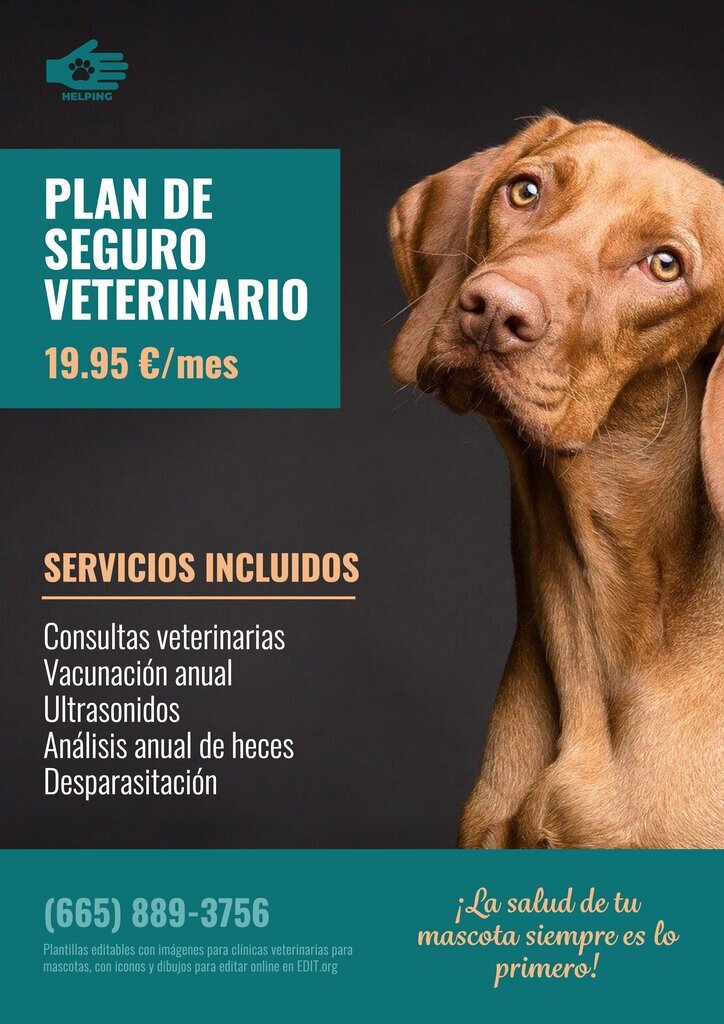 Plantilla de cartel editable online para promocionar clinica veterinaria, con imagen de perro