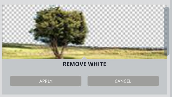 Opción para eliminar el fondo de color de una fotografía con el editor gráfico online EDIT.org