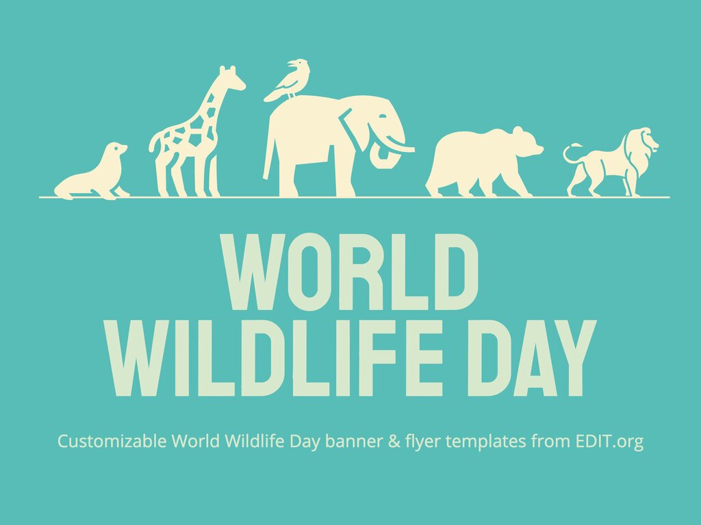 World Wildlife Day 2025