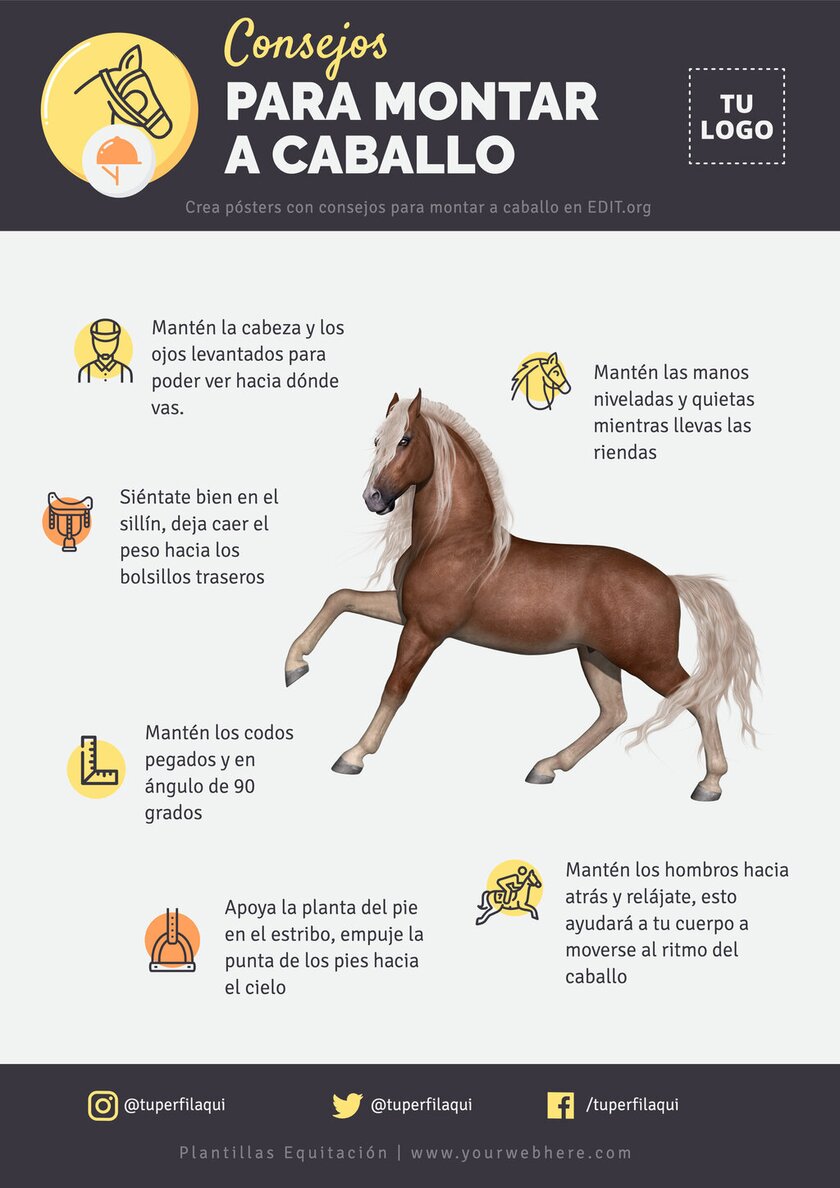 18 Deas De Orejeras Caballo Ecuestre En 2022 | Orejeras, Ecuestre, Técncas De Ganchllo