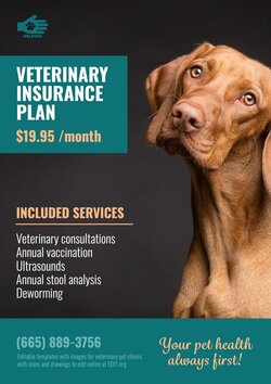 Templates for Veterinarians to Edit Online