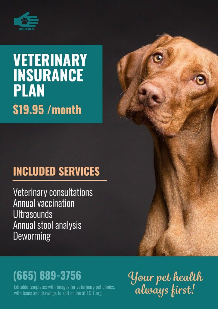 Veterinary poster template to edit online with a great image of a dog