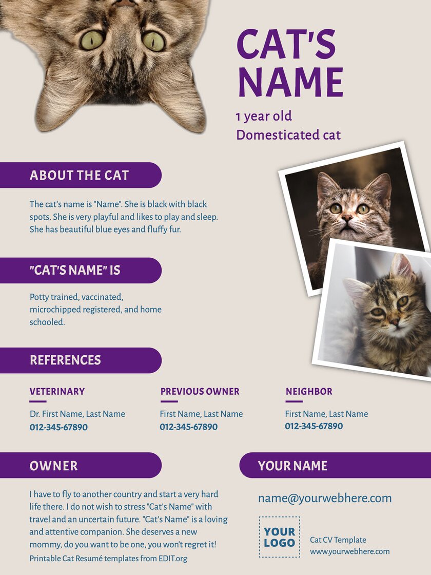 Online cat resume template to customize